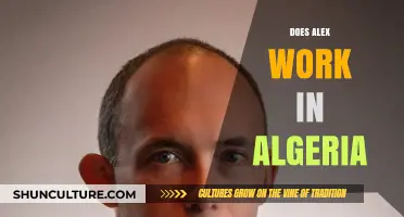 Does Alex Work in Algeria? Exploring Employment Possibilities and Challenges