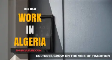 Does Alexa Work in Algeria? Exploring Compatibility and Availability