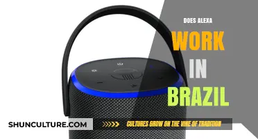 Does Alexa Work in Brazil? Exploring Compatibility and Availability