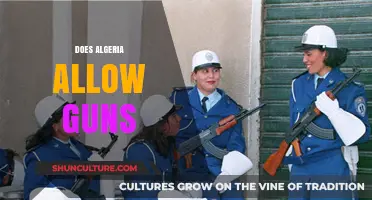 Algeria's Gun Laws: Ownership, Restrictions, and Legal Implications Explained