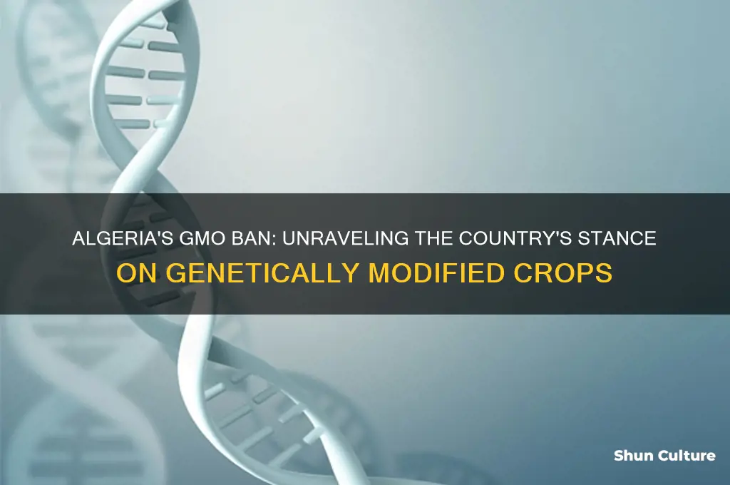 does algeria ban gmo