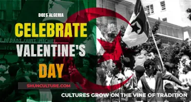 Does Algeria Celebrate Valentine's Day? Cultural Insights and Traditions