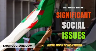 Algeria's Social Challenges: Uncovering Key Issues and Their Impact