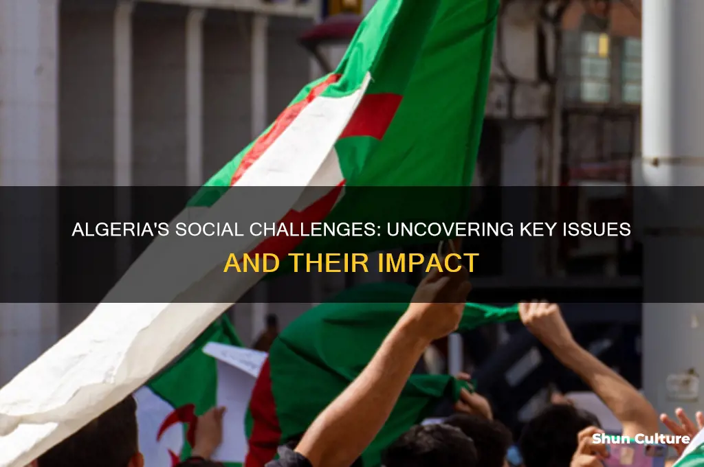 does algeria face any significant social issues