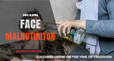 Algeria's Nutrition Crisis: Uncovering the Hidden Malnutrition Challenge