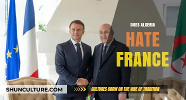 Algeria and France: Unraveling Historical Tensions and Modern Perceptions