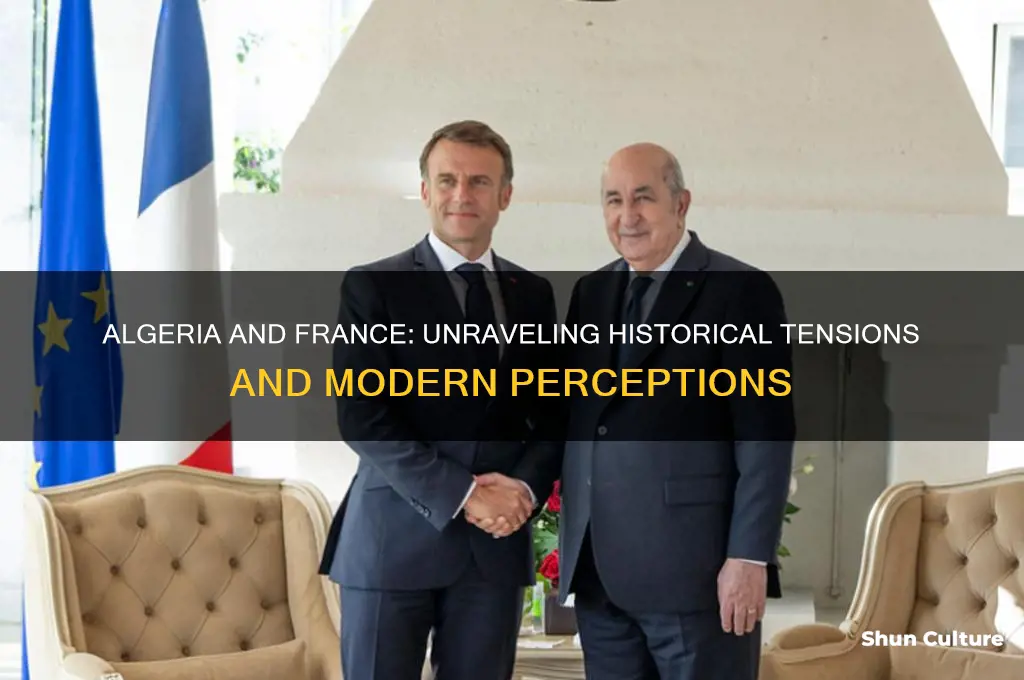 does algeria hate france