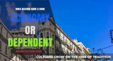 Algeria's Economy: Core Strength or Dependency Dilemma Explored
