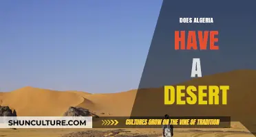 Exploring Algeria's Sahara: Unveiling the Desert's Presence and Impact