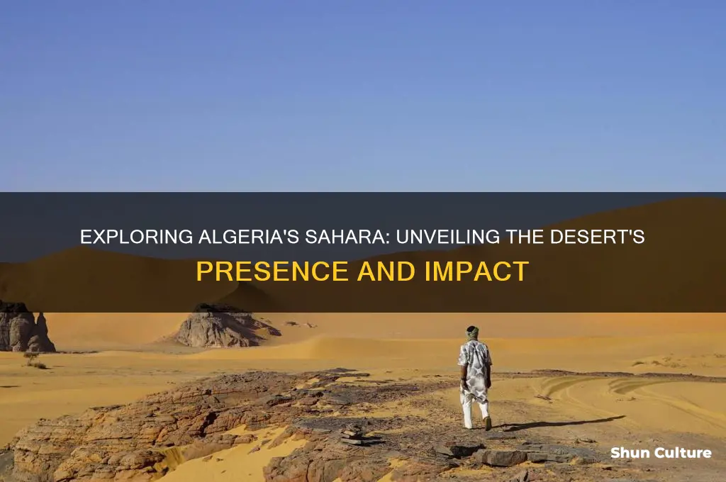 does algeria have a desert