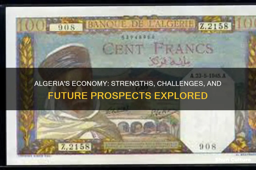 does algeria have a good economy