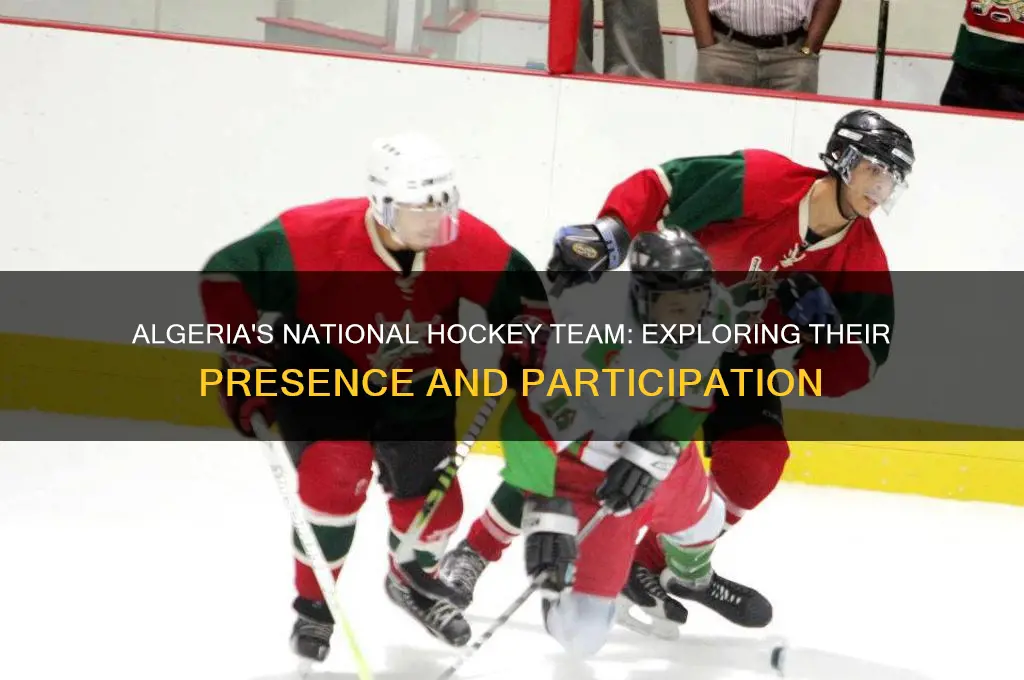 does algeria have a national hockey team