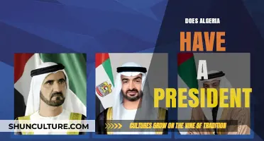 Algeria's Leadership: Does the Country Currently Have a President?