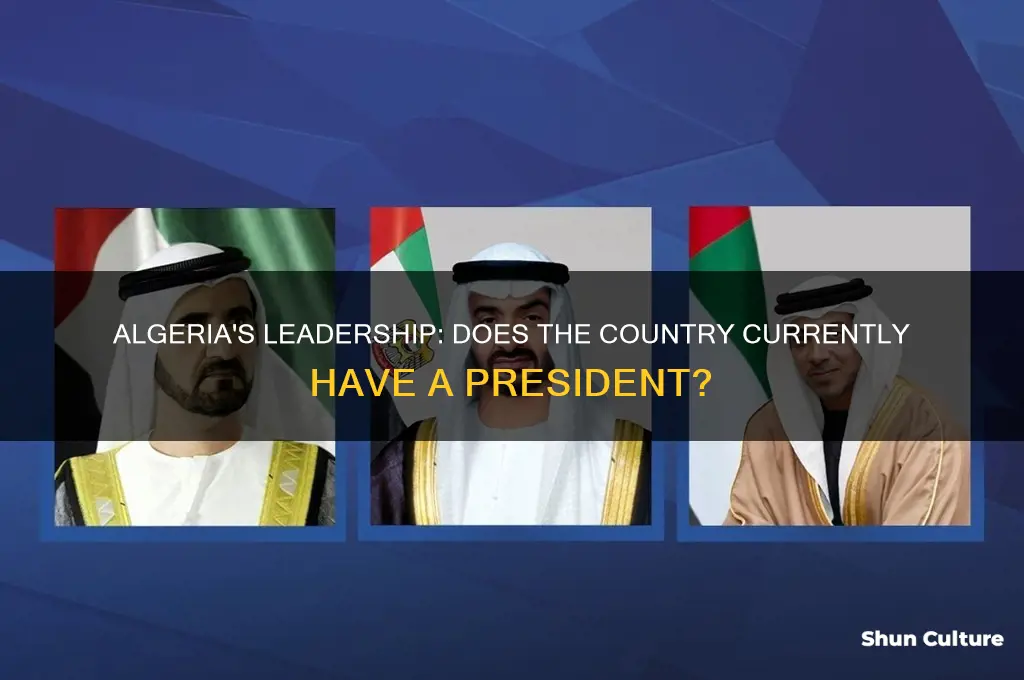 does algeria have a president