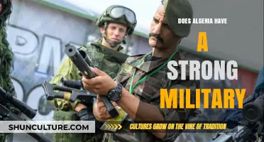 Algeria's Military Strength: Assessing Capabilities and Regional Influence