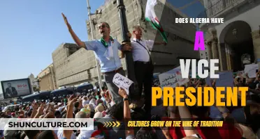 Does Algeria Have a Vice President? Exploring Its Political Structure