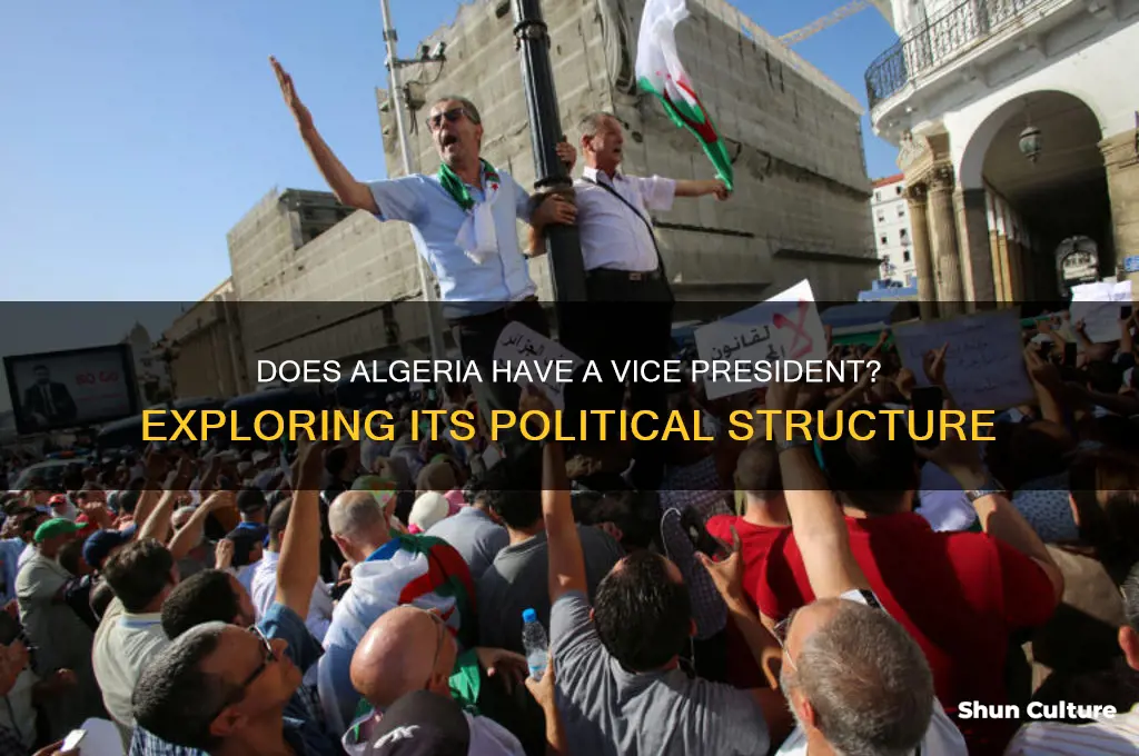 does algeria have a vice president