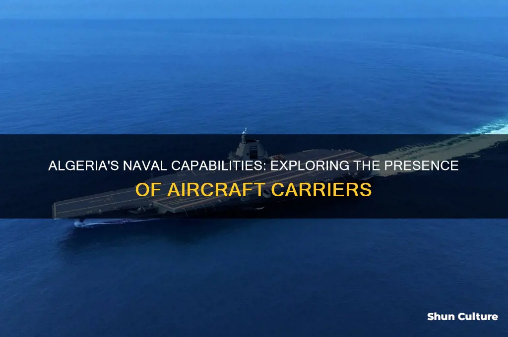 does algeria have aircraft carriers