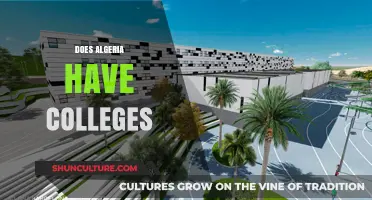 Exploring Higher Education: Do Colleges Exist in Algeria?