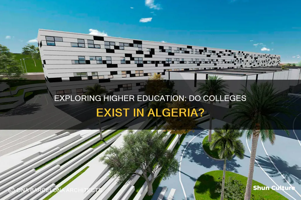 does algeria have colleges
