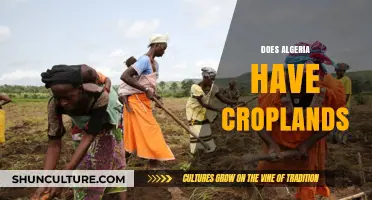 Exploring Algeria's Agricultural Landscape: Croplands and Farming Practices