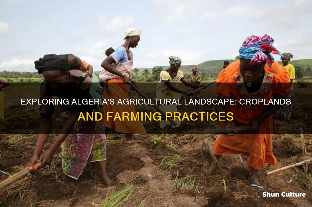 does algeria have croplands