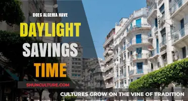Does Algeria Observe Daylight Saving Time? A Time Zone Guide