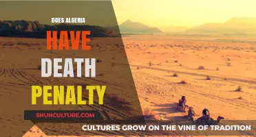 Algeria's Death Penalty: Current Status and Legal Implications Explained