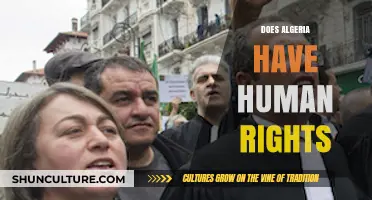 Algeria's Human Rights Record: Progress, Challenges, and Global Perspective