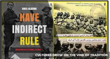 Algeria's Colonial Governance: Indirect Rule or Direct Control?