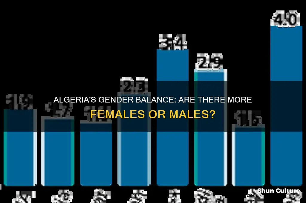 does algeria have more females or males