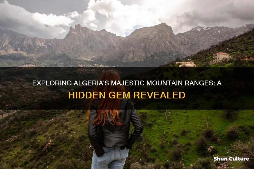 does algeria have mountains