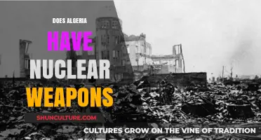 Algeria's Nuclear Ambitions: Uncovering the Truth About Its Capabilities