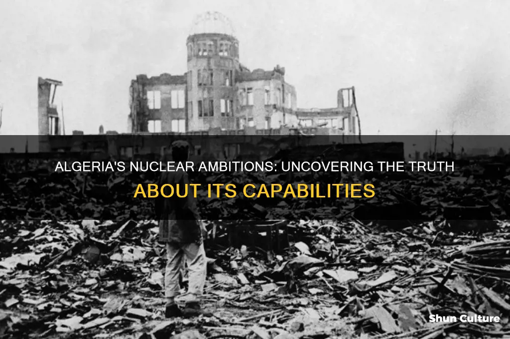 does algeria have nuclear weapons