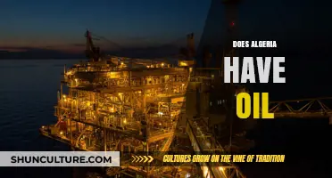 Algeria's Oil Reserves: Exploring the Country's Energy Resources and Impact