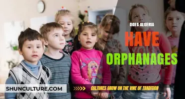 Orphanages in Algeria: Exploring Child Welfare and Care Systems
