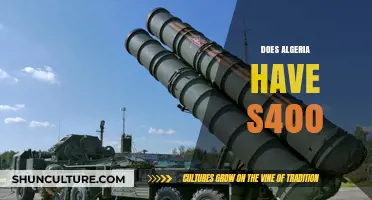 Algeria's Air Defense: Does the S-400 System Feature in Its Arsenal?