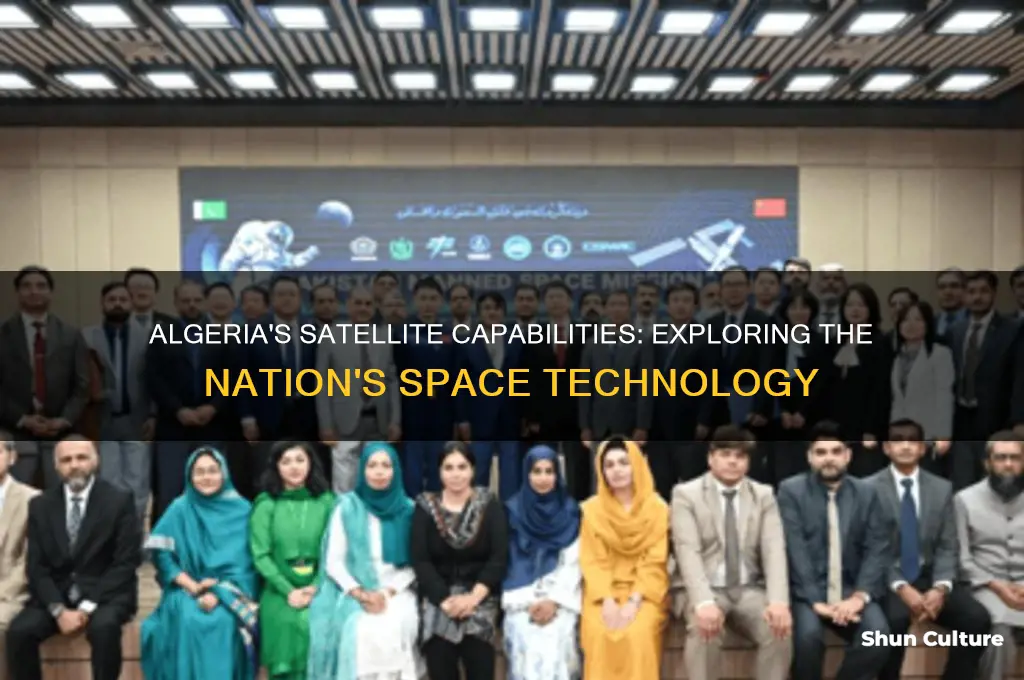 does algeria have satellite