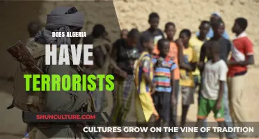 Algeria and Terrorism: Uncovering the Truth Behind the Threat