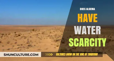 Algeria's Water Crisis: Scarcity Challenges and Sustainable Solutions Explored