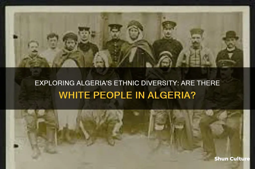 does algeria have white people