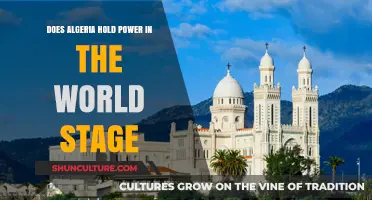 Algeria's Global Influence: Assessing Its Power on the World Stage