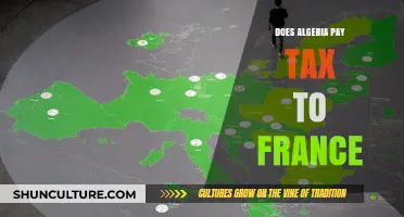 Does Algeria Pay Tax to France? Unraveling Post-Colonial Financial Ties