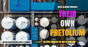 Algeria's Petroleum Processing: Domestic Refinement or International Reliance?