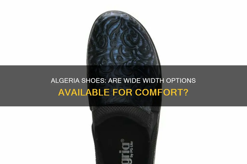 does algeria shoes come in wide with