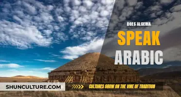 Does Algeria Speak Arabic? Exploring the Country's Linguistic Landscape