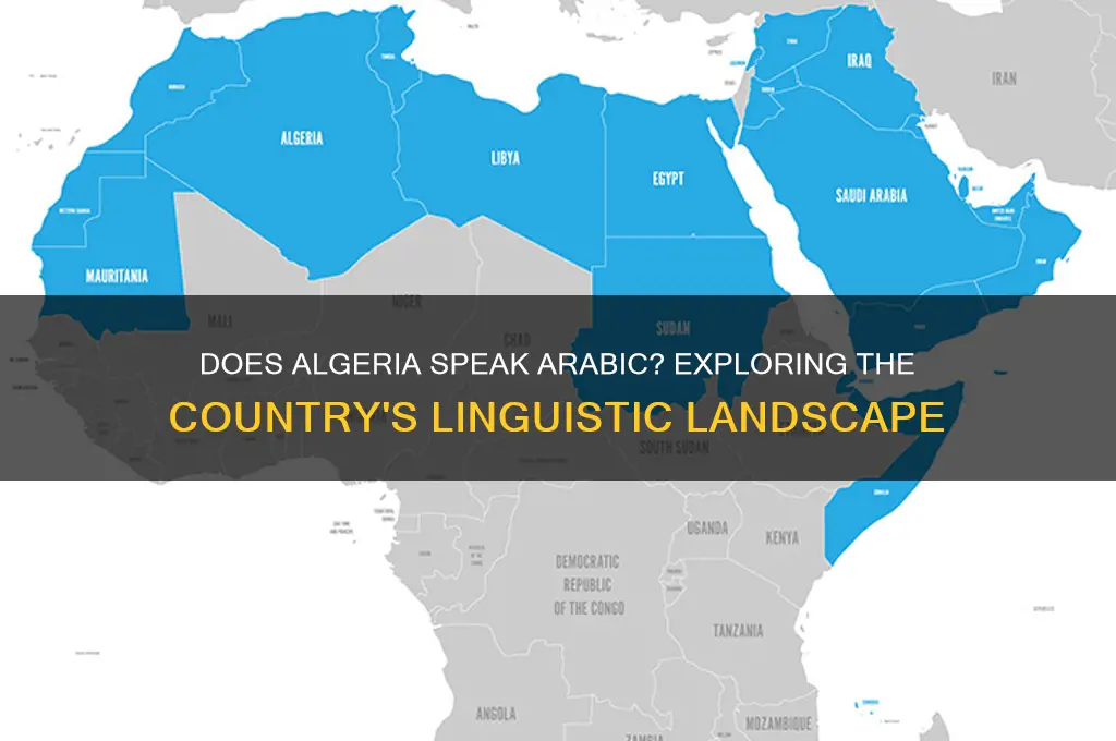 does algeria speak arabic