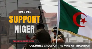 Algeria's Stance on Niger: Diplomatic Ties and Regional Support Explored