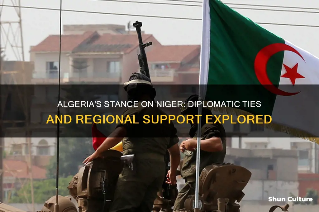 does algeria support niger