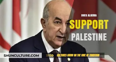 Algeria's Unwavering Solidarity with Palestine: Historical and Contemporary Perspectives